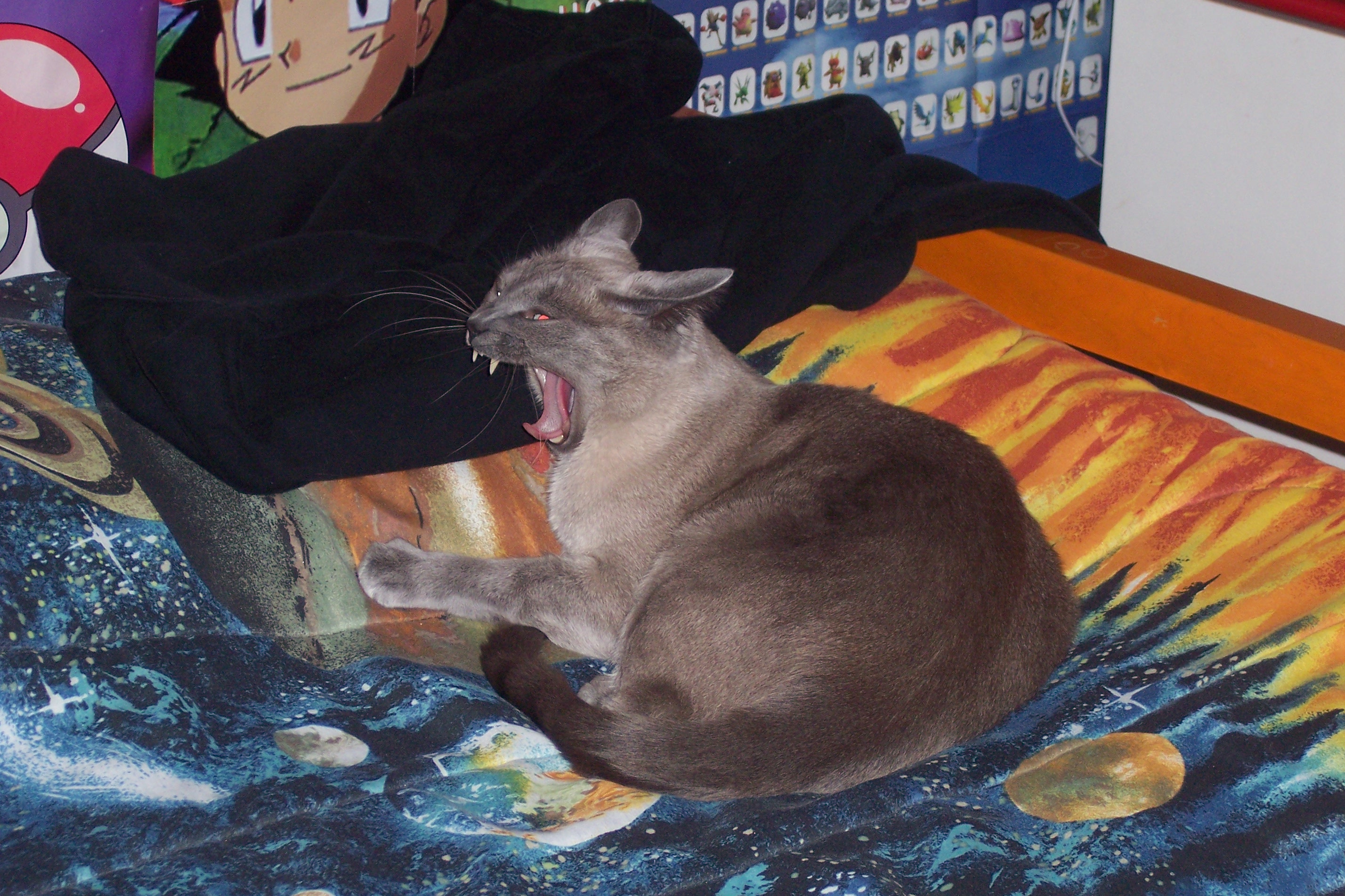 100_0114.jpg